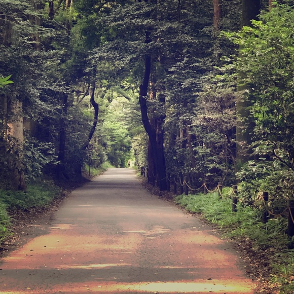 Thanks for stopping by! Please make me an offer. - Picture 1 of 1